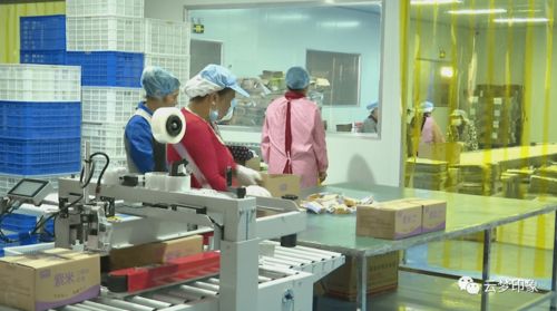 云夢經濟開發區 以完善服務體系為抓手，實現政企雙贏的信息系統運行維護新篇章